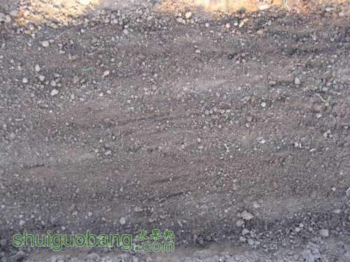 ֲ 015.jpg