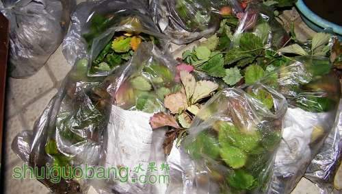 nEO_IMG_100_1630.jpg