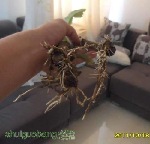 δ001.jpg