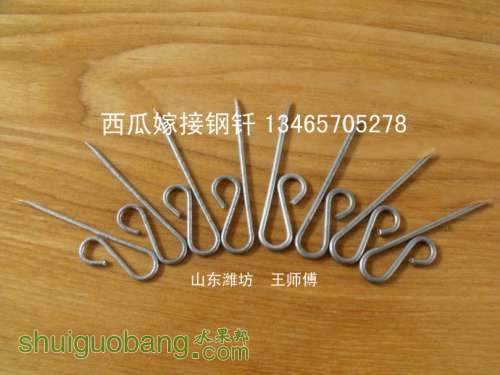 3e62811ft88ff15e729c4&690 .jpg