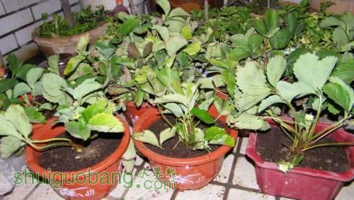 nEO_IMG_100_0041.jpg