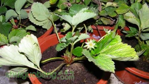 nEO_IMG_100_0039.jpg