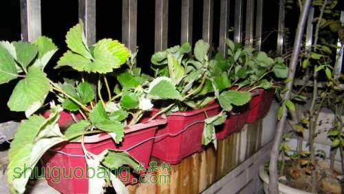 nEO_IMG_100_0035.jpg