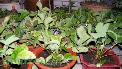 nEO_IMG_100_0036.jpg