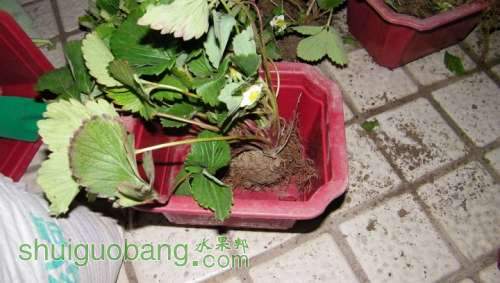 nEO_IMG_100_0025.jpg