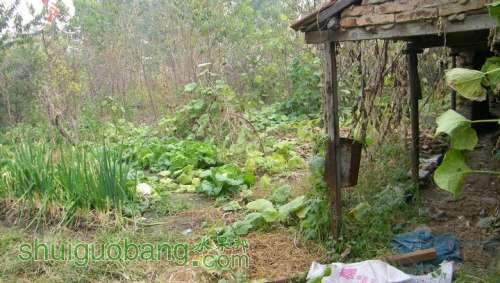 nEO_IMG_100_0058.jpg