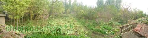 nEO_IMG_100_0056.jpg
