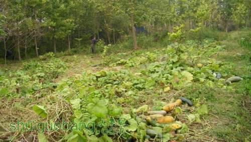 nEO_IMG_100_0049.jpg