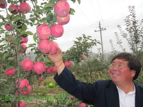 ����.jpg