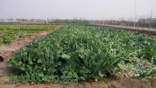 nEO_IMG_100_0258.jpg