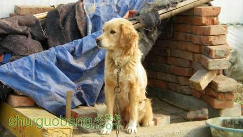 nEO_IMG_100_0254.jpg