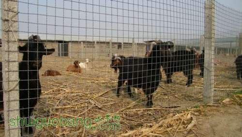 nEO_IMG_100_0231.jpg