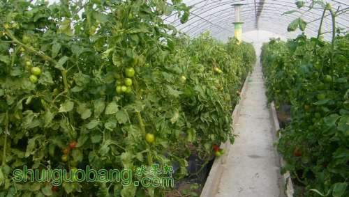 nEO_IMG_100_0107.jpg