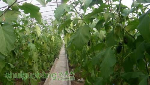 nEO_IMG_100_0104.jpg