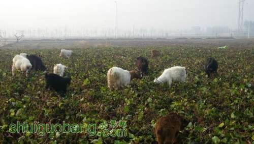 nEO_IMG_100_0086.jpg