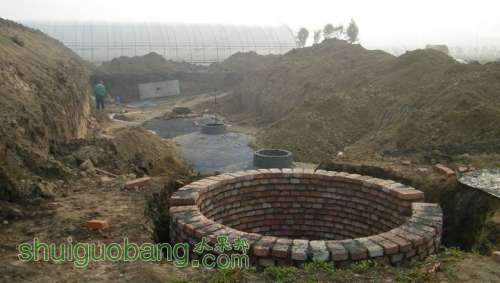 nEO_IMG_100_0080.jpg
