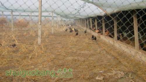 nEO_IMG_100_0072.jpg