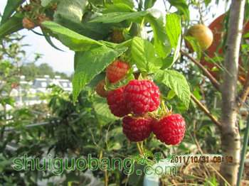 IMG_1429.JPG