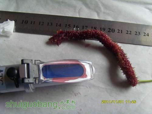 С SI858540.JPG