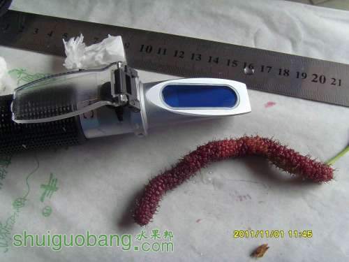 С SI858539.JPG