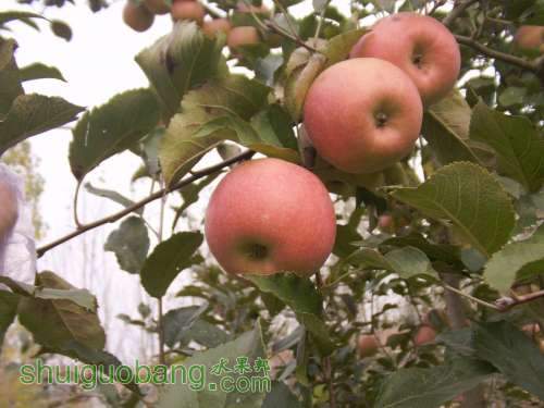 FILE0279.JPG