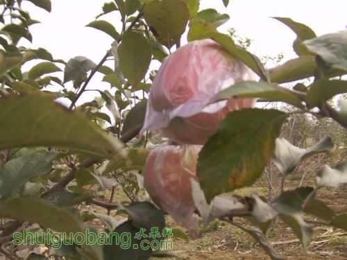 FILE0283.JPG