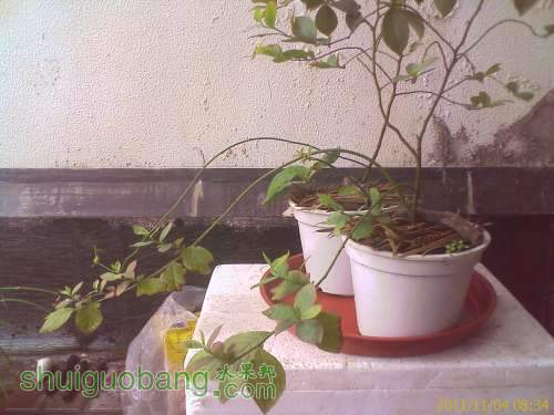 IMAGE_700.jpg