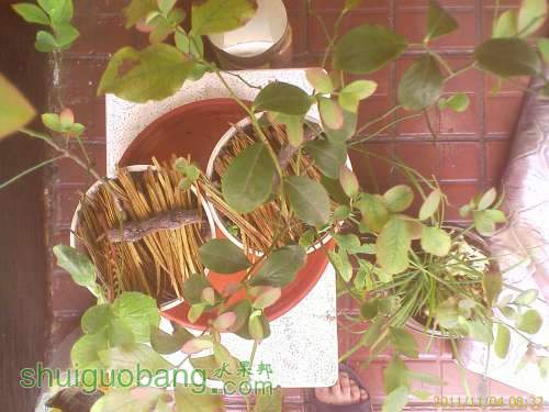 IMAGE_695.jpg