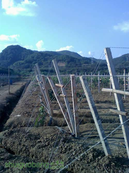 20111105155653.jpg