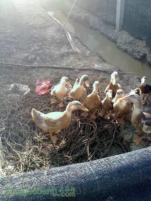 20111105155725.jpg