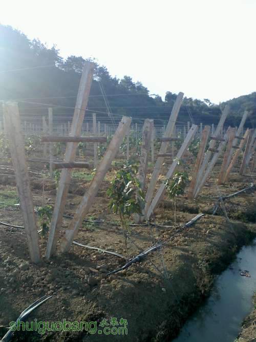 20111105155744.jpg