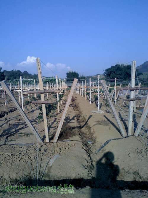 20111105155759.jpg