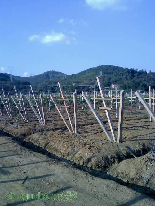 20111105155809.jpg