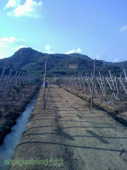 20111105155819.jpg