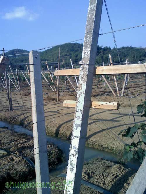 20111105155911.jpg