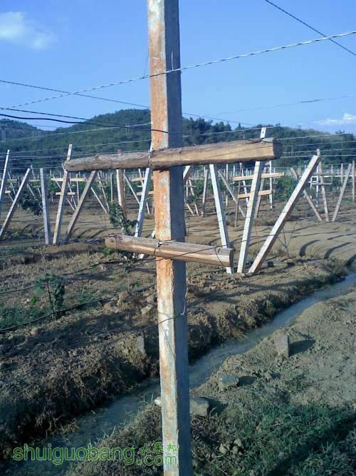 20111105155927.jpg