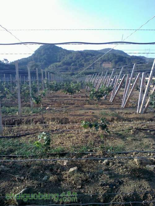 20111105155940.jpg