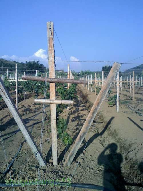 20111105160100.jpg