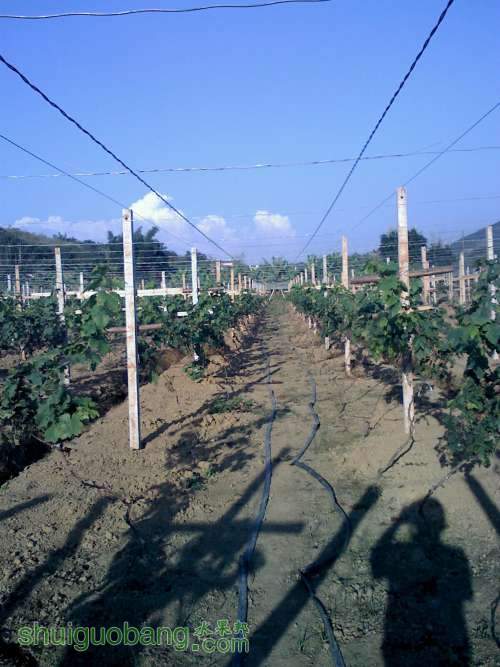 20111105160129.jpg