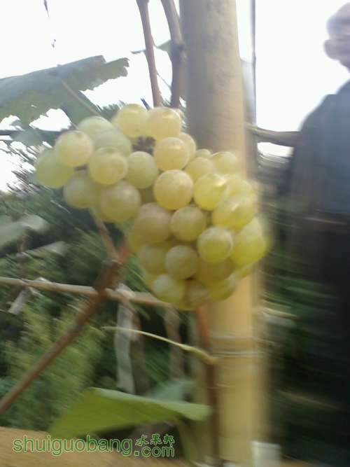 20111105165028.jpg