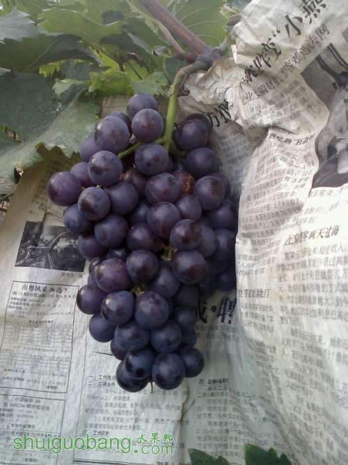20111105165429.jpg