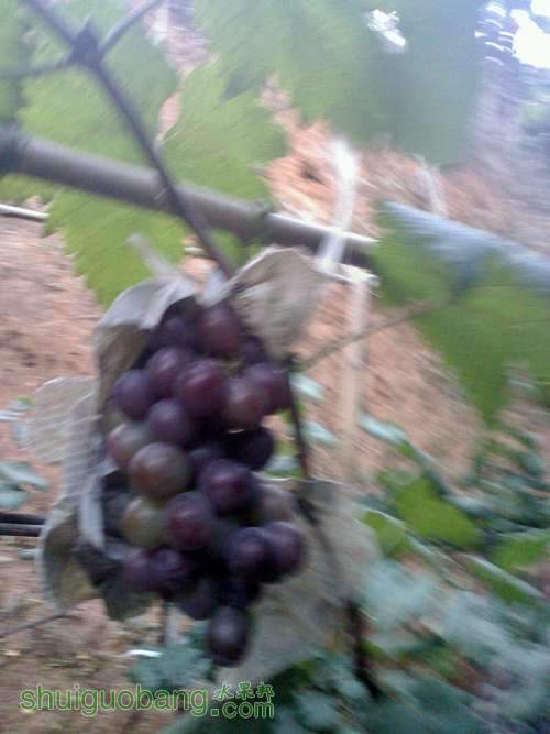 20111105171316.jpg