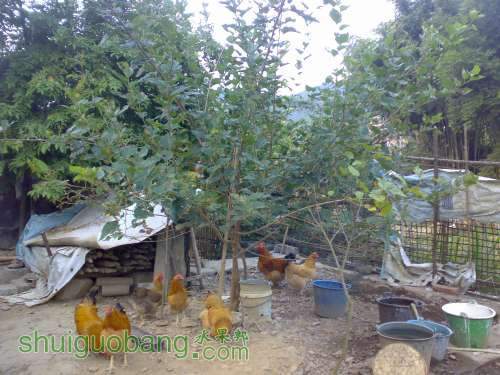 20111106053.jpg