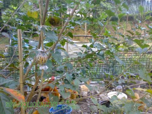 20111106055.jpg
