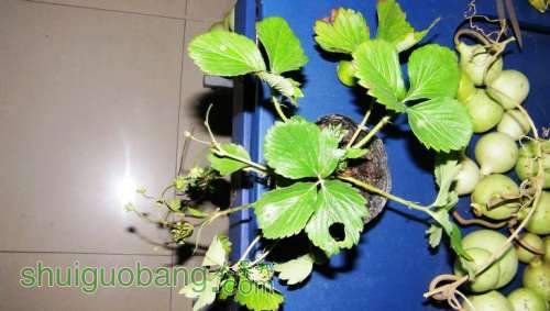 nEO_IMG_100_0417.jpg