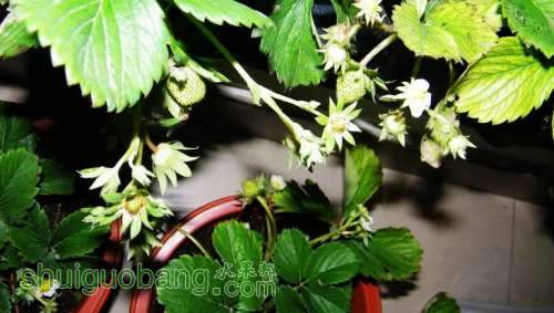 nEO_IMG_100_0033.jpg