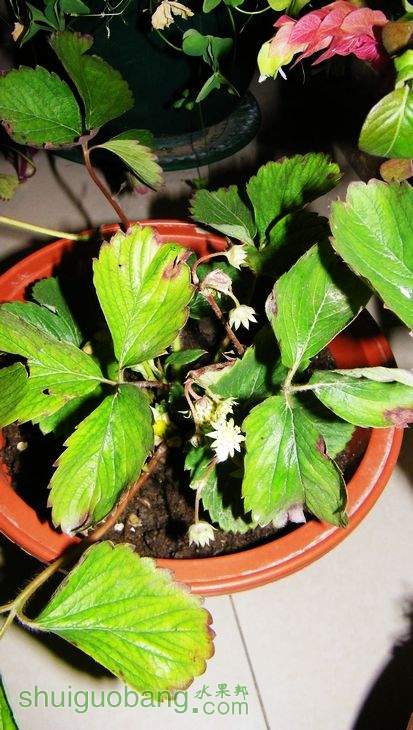 nEO_IMG_100_0032.jpg