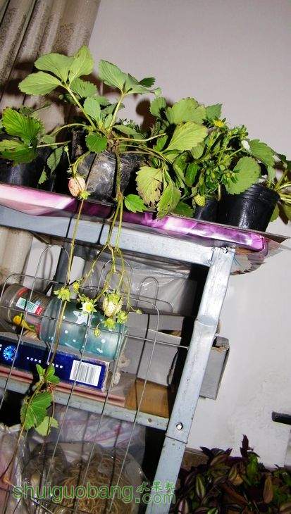 nEO_IMG_100_0029.jpg