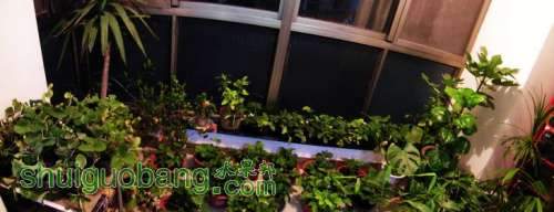 nEO_IMG_100_0018.jpg