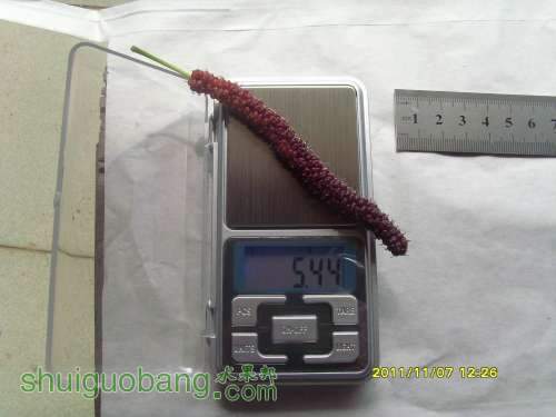 С SI858776.JPG